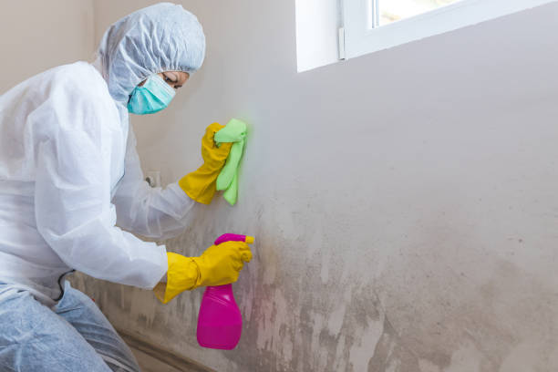 Asbestos and Lead Testing During Mold Inspection in Avenal, CA